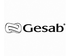 Página de Inicio 21 gesab