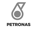 Página de Inicio 42 petronas