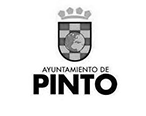 Página de Inicio 43 pinto